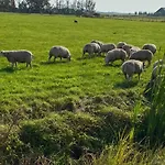 Oomes Huus - Sleep By Haestens, Wake With Coffee Den Hoorn (North Holland)