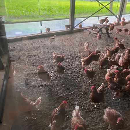 Oomes Huus - Sleep By Haestens, Wake With Coffee デン・ホールン