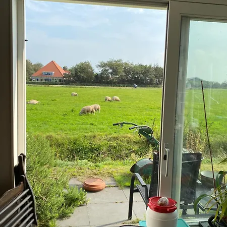 Oomes Huus Haestens And Koffie