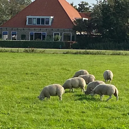 Oomes Huus - Sleep By Haestens, Wake With Coffee