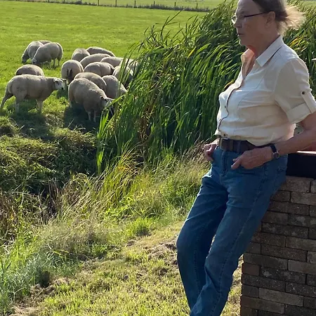 Oomes Huus - Sleep By Haestens, Wake With Coffee