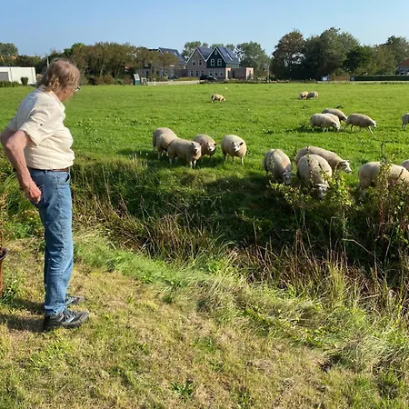 Oomes Huus - Sleep By Haestens, Wake With Coffee ベッド・アンド・ブレックファスト