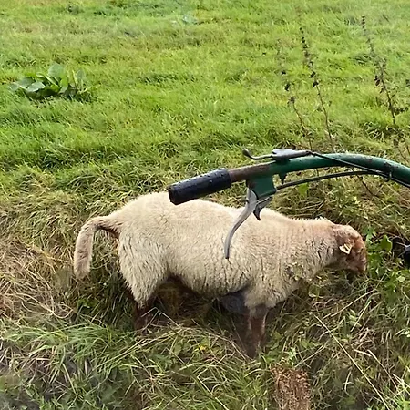 Alojamento de Acomodação e Pequeno-almoço Oomes Huus - Sleep By Haestens, Wake With Coffee 4*