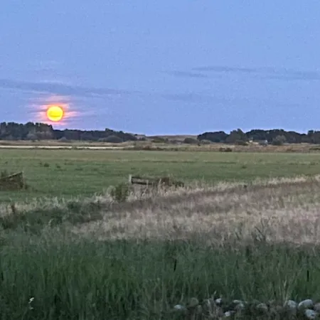 Oomes Huus - Sleep By Haestens, Wake With Coffee Bed & Breakfast 4*