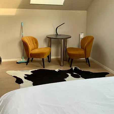 Couette-café Oomes Huus - Sleep By Haestens, Wake With Coffee 4*