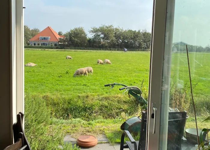 Oomes Huus - Sleep By Haestens, Wake With Coffee