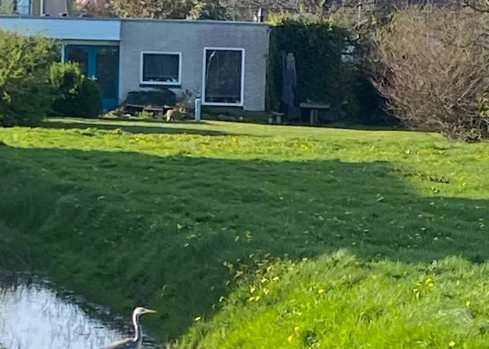 B&B Oomes Huus - Sleep By Haestens, Wake With Coffee