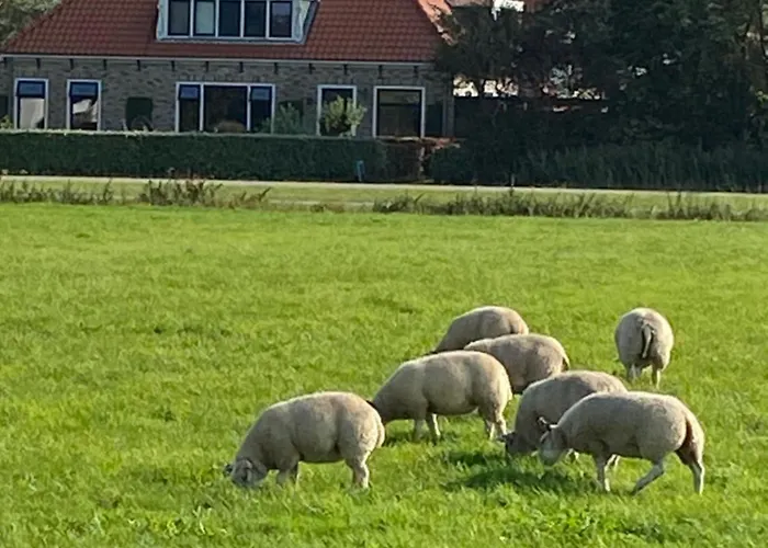 Oomes Huus - Sleep By Haestens, Wake With Coffee