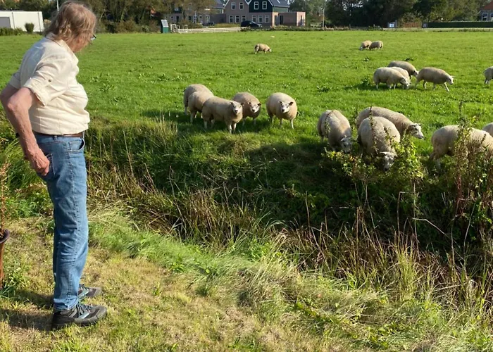 Oomes Huus - Sleep By Haestens, Wake With Coffee Bed & Breakfast