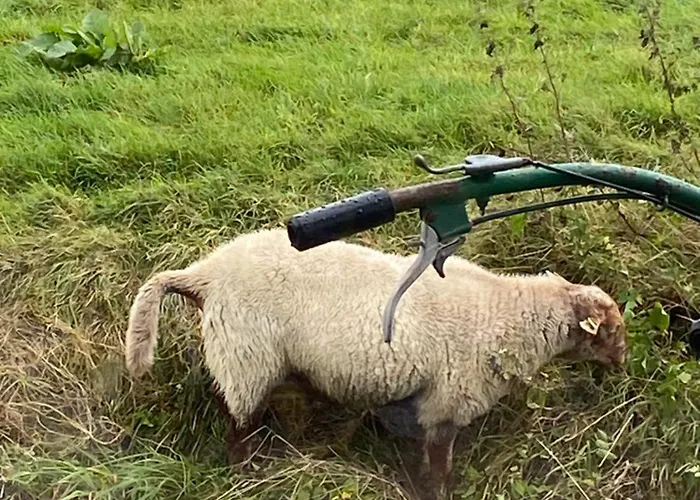 Bed & Breakfast Oomes Huus - Sleep By Haestens, Wake With Coffee 4*