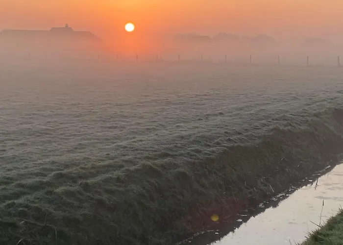 Oomes Huus - Sleep By Haestens, Wake With Coffee Bed & Breakfast