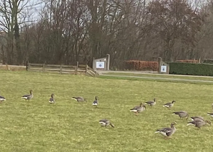 Oomes Huus - Sleep By Haestens, Wake With Coffee 4*