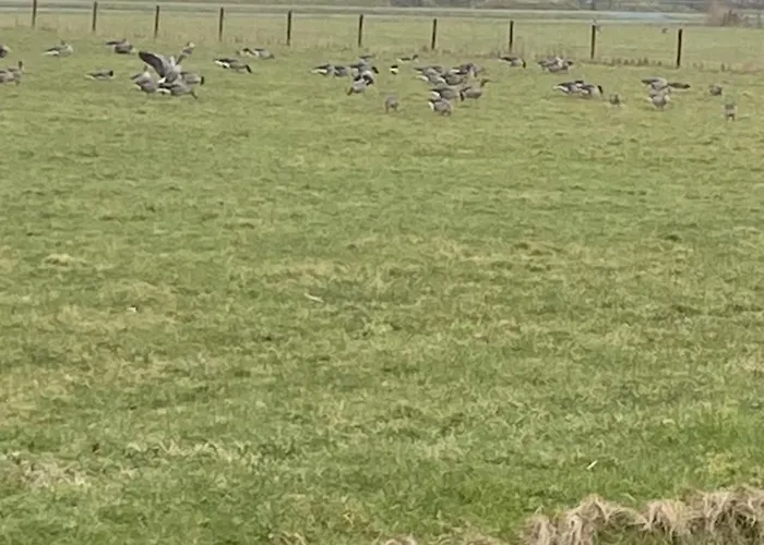 Oomes Huus - Sleep By Haestens, Wake With Coffee B&B