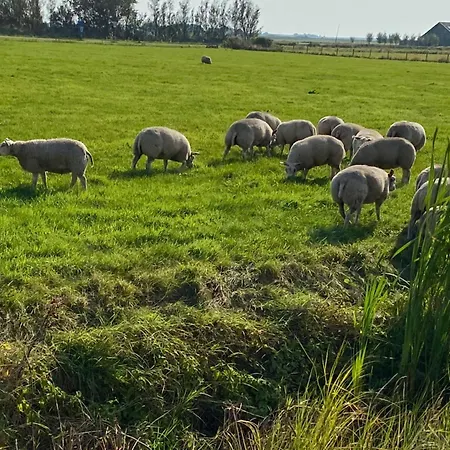 Oomes Huus - Sleep By Haestens, Wake With Coffee Den Hoorn (North Holland)