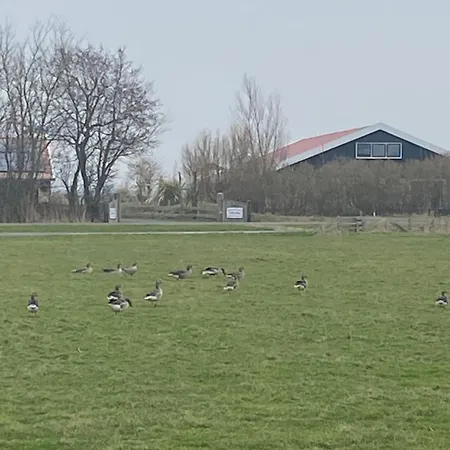 Oomes Huus - Sleep By Haestens, Wake With Coffee Den Hoorn (North Holland)