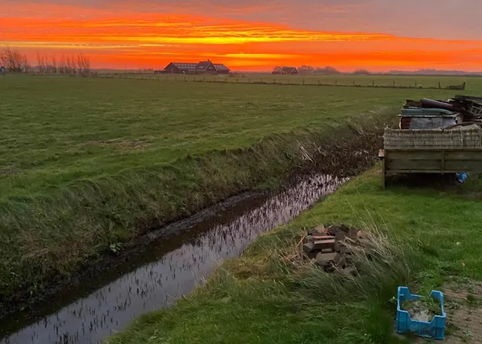 B&B Oomes Huus - Sleep By Haestens, Wake With Coffee