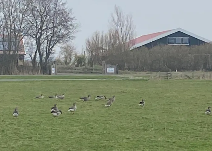 Oomes Huus - Sleep By Haestens, Wake With Coffee 덴 호른