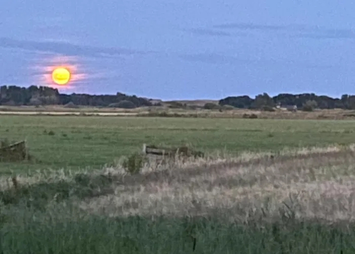 Oomes Huus - Sleep By Haestens, Wake With Coffee B&B 4*