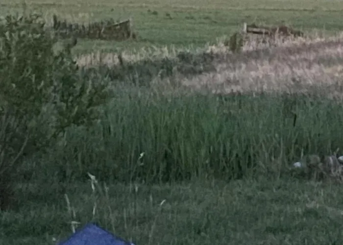 B&B Oomes Huus - Sleep By Haestens, Wake With Coffee 덴 호른